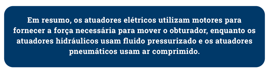 Resumen sobre la válvula evaluada